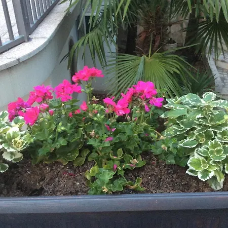 Sanja Apartman Dramalj