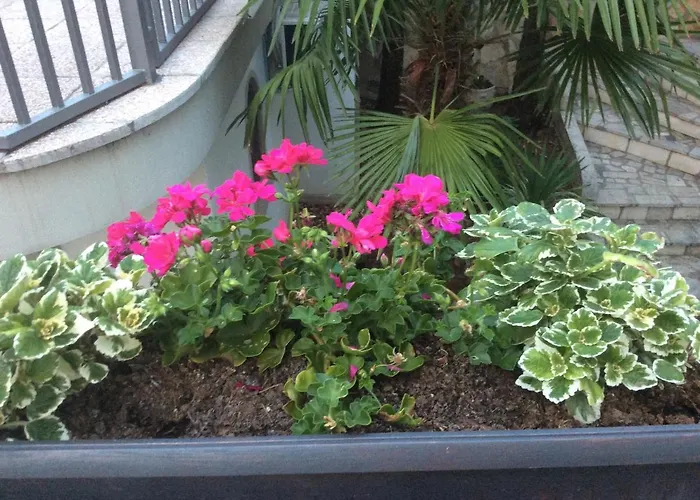 Sanja Apartman Dramalj