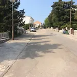 Sanja *