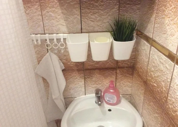 公寓 Sanja 德拉马利